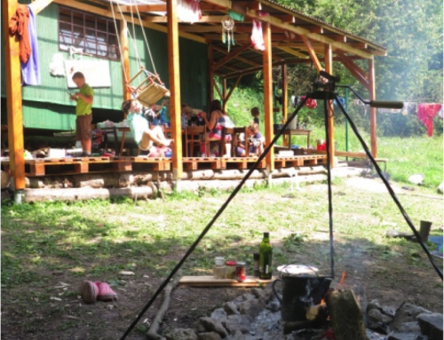 MRAVENISKO V MARINGOTKE