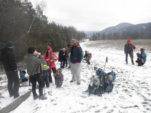 1795222 245997215570194 272459088 o