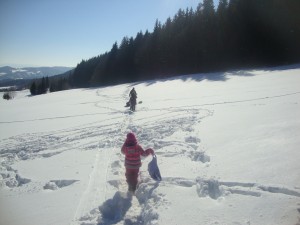 kordiky februar (37) 