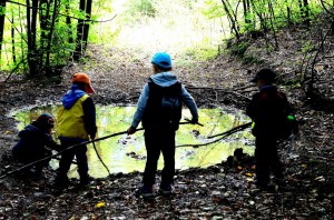 laskomer september (6) 